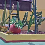 Feriehus Casa Nonna By Helloapartments Playa de las Américas
