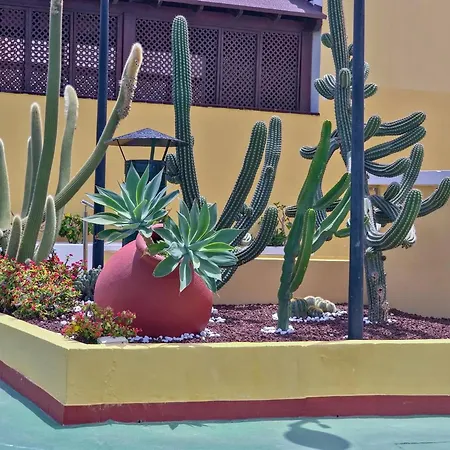 Semesterbostad Casa Nonna By Helloapartments Playa de las Americas (Tenerife)