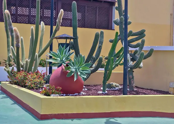 Feriehus Casa Nonna By Helloapartments Playa de las Américas